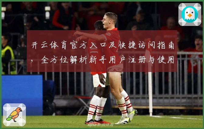 开云体育官方入口及快捷访问指南，全方位解析新手用户注册与使用技巧