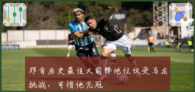 邓肯历史最佳大前锋地位仅受马龙挑战，可惜他无冠